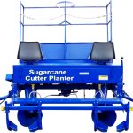 2 Row Sugarcane Cutter Planter