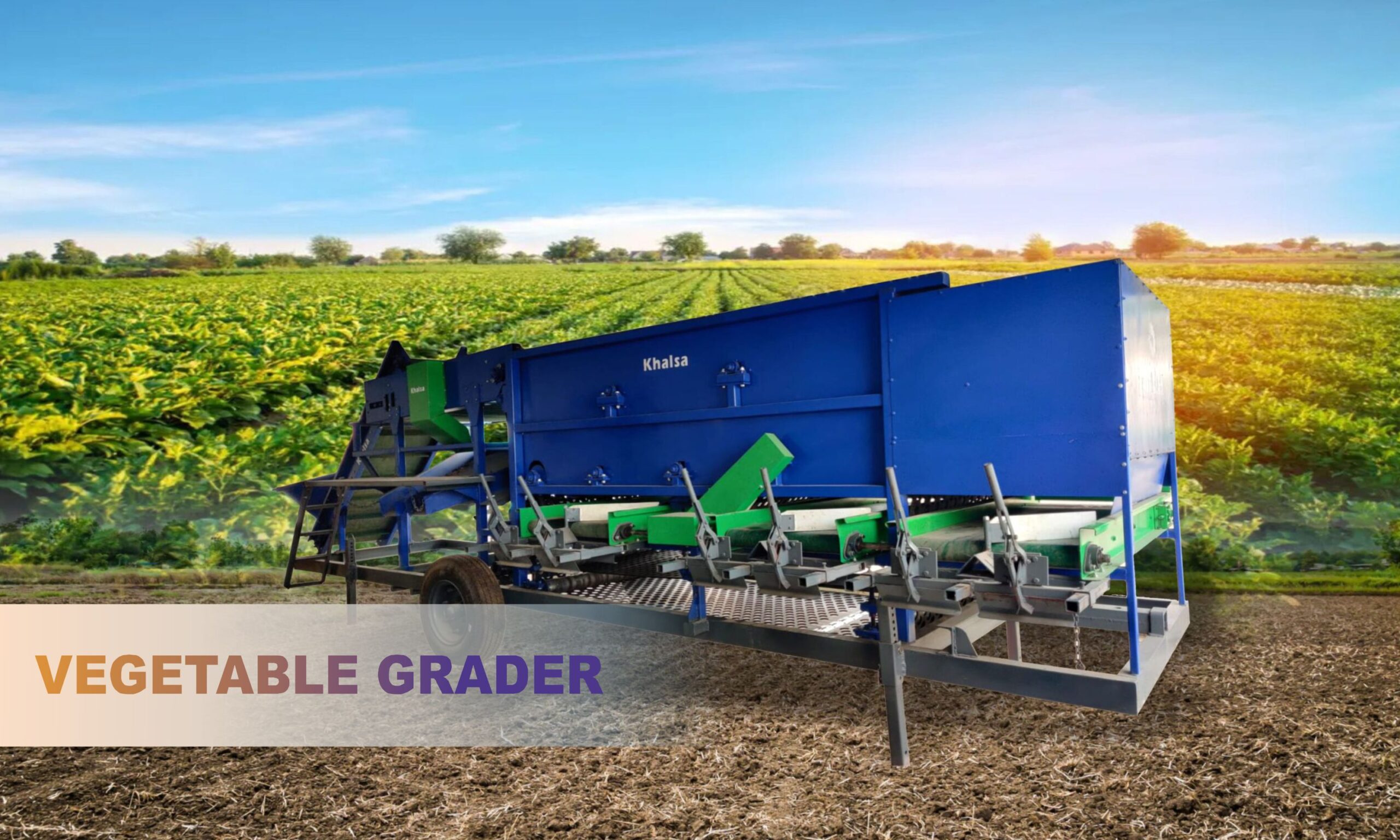 VEgetableGrader scaled